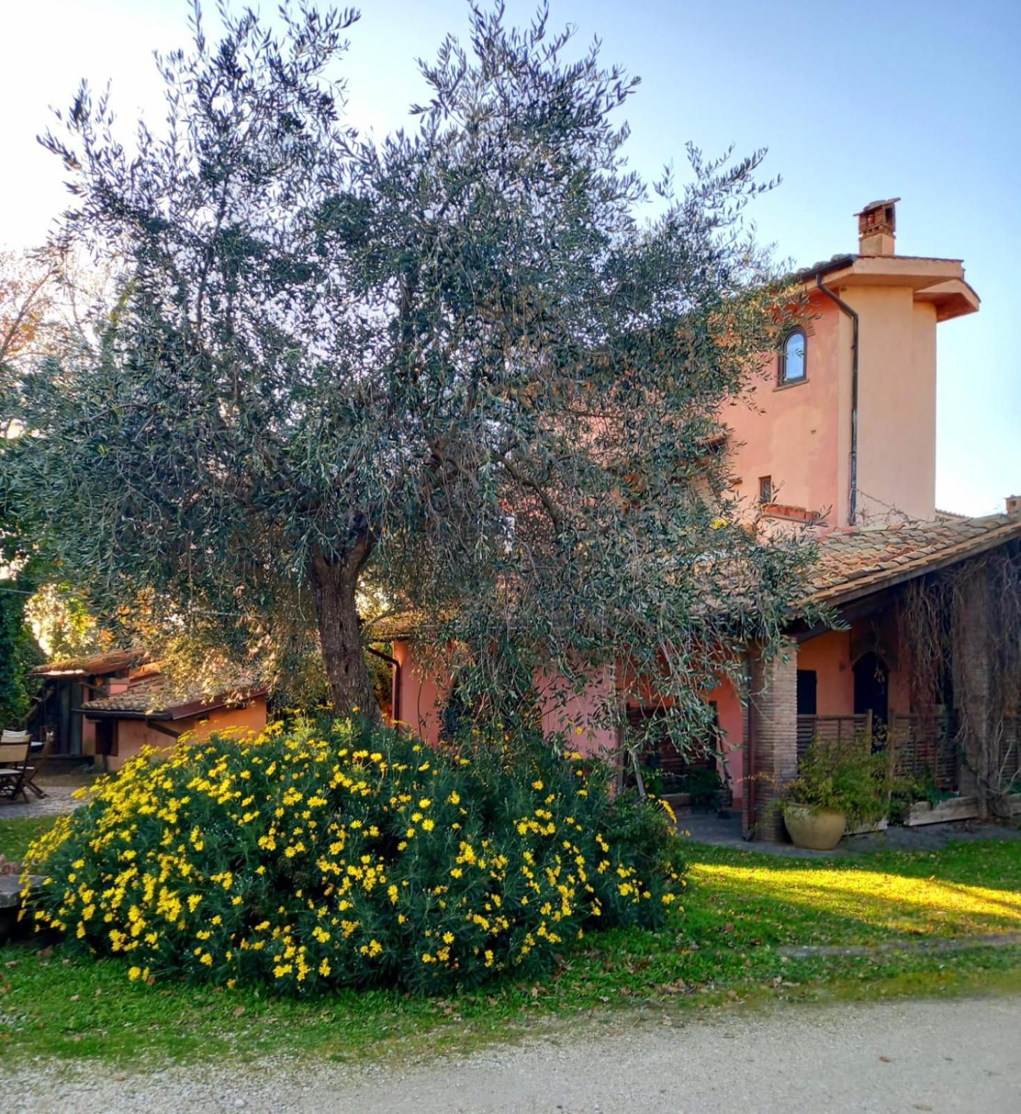 La Chiesuola Bed & Breakfast Bagnaia  Exterior photo